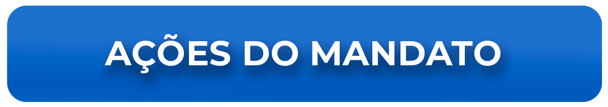 Ações do mandato